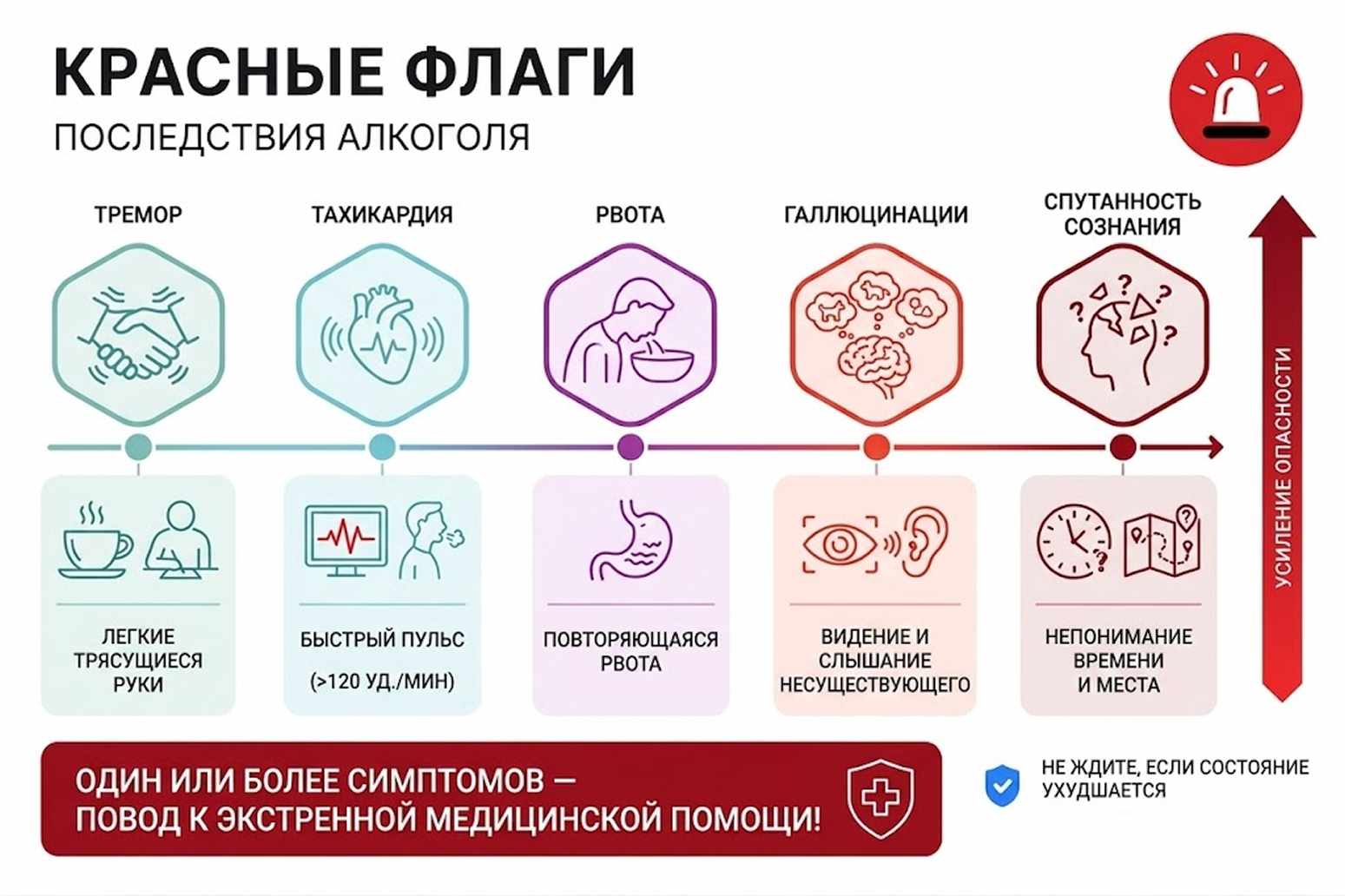 Подробная медицинская инфографика, иллюстрирующая четыре последовательные стадии алкогольной болезни печени