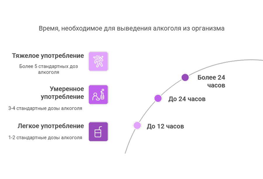 Время выведения Выведение алкоголя из организма